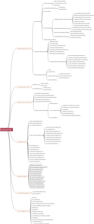 Project plan mind map