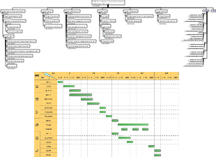 WBS work breakdown structure and software RD development Gantt chart