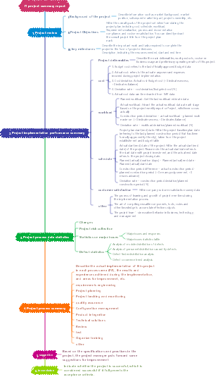 IT project summary report