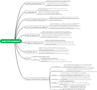 project risk management