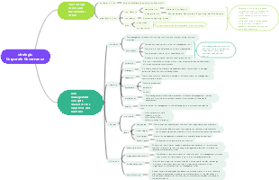 Overview of strategic risks and risk management