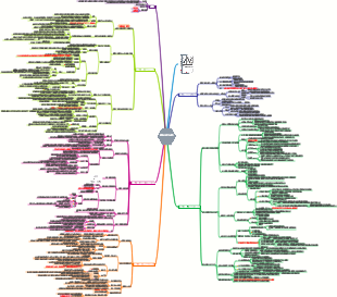 《極簡學習法》讀書筆記