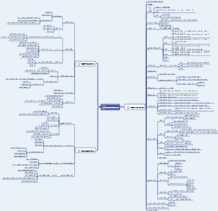 高效率學習方法：整體性學習策略