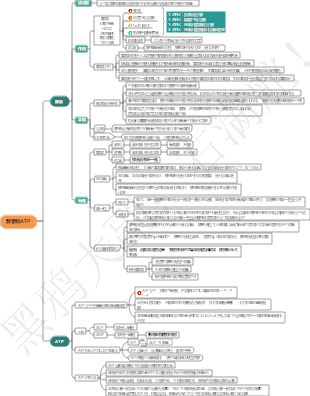 高中生物酵素心智圖