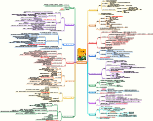 《自私的基因》讀書筆記
