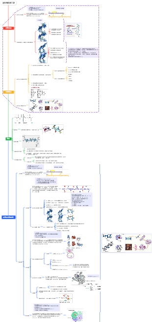 蛋白總論第二課