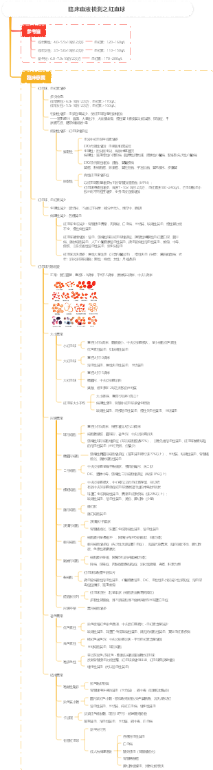 診斷學：臨床血液檢測之紅血球