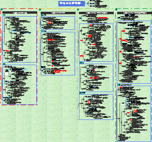 病理-局部血液循環障礙