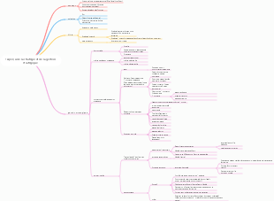 1 Aperçu de la stratégie et de la gestion stratégique