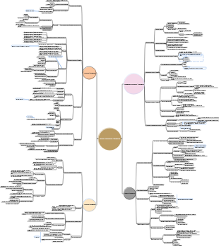 Carte mentale de la gestion de l’information