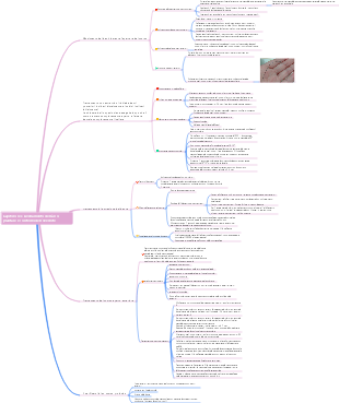 Capitolo 6 Livellamento dell'arcata e controllo del morso