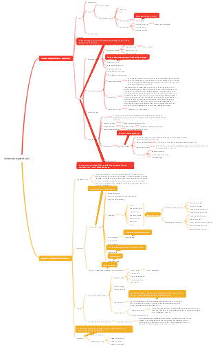sistema respiratorio