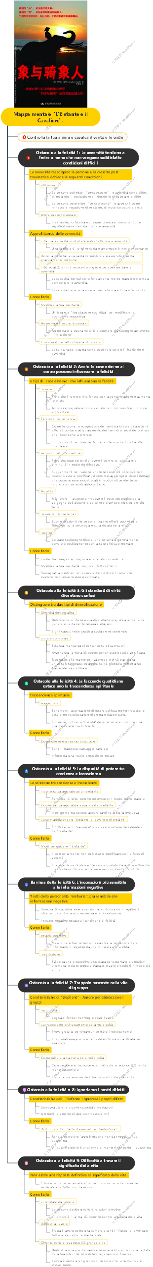 Mappa mentale L'Elefante e il Cavaliere.