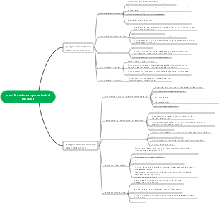 Muscoli dell'avambraccio e dell'avampiede