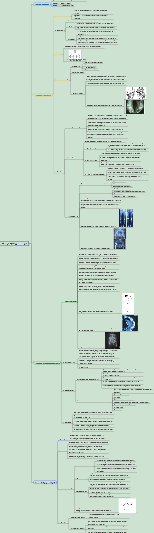 Chirurgia 070 Artrite non settica