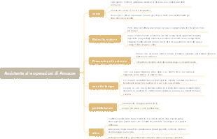 Assistente alle operazioni di Amazon
