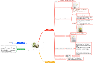 Esperimento di ibridazione del pisello di Mendel (2)