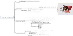 calcoli del dotto biliare intraepatico
