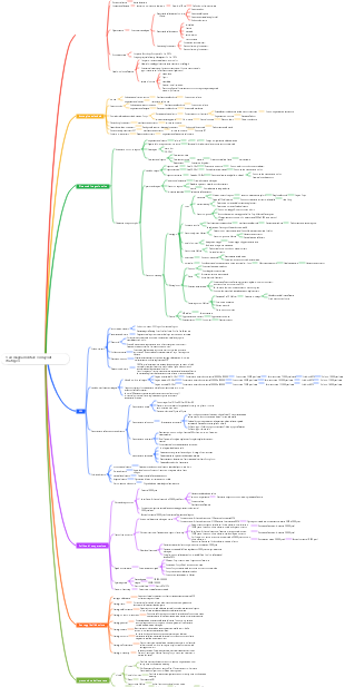1can mappa mentale con layout strategico
