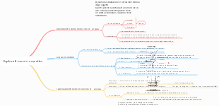 Esplora il mondo acquatico