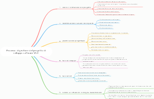 Processo di gestione del progetto di sviluppo software V5.0