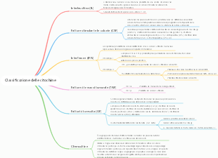 Classificazione delle citochine