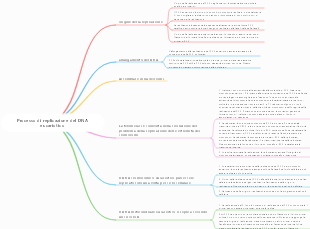 Processo di replicazione del DNA eucariotico