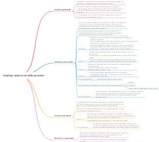 struttura molecolare delle proteine