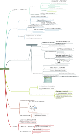 Fisiologia vascolare