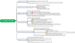 Fiori mattutini colti al tramonto Mappa mentale della malattia del padre