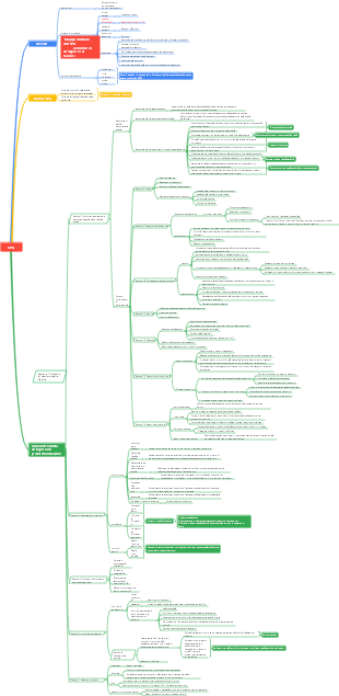 GSP_Capitolo 2 Vendita all'ingrosso di farmaci mappa mentale