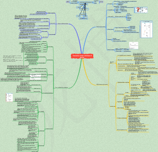 Istituzione e attuazione del sistema di gestione della sicurezza degli elementi di gestione della sicurezza [Versione pratica]