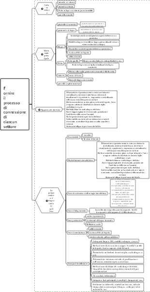 Fornire il processo di connessione di ciascun settore