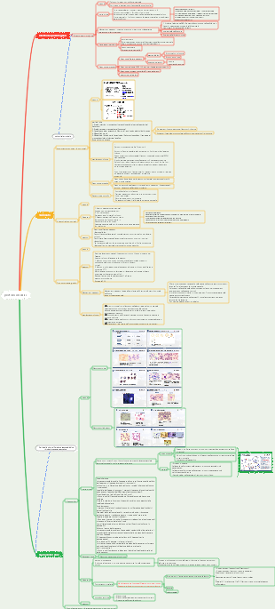 Parassiti - Protozoi medici