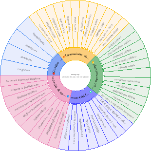 Schema di formazione focalizzata