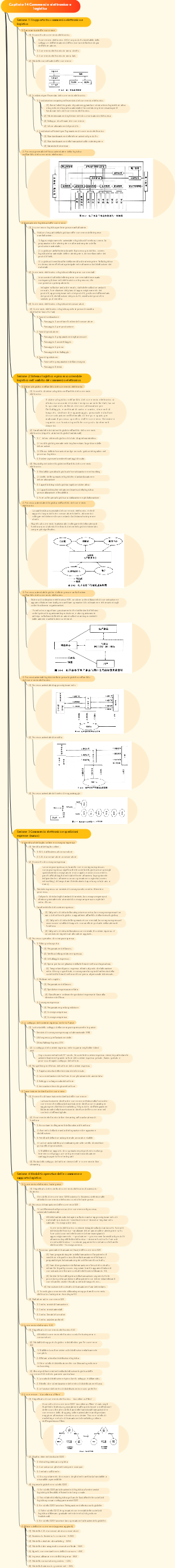 Capitolo 14 Commercio elettronico e logistica
