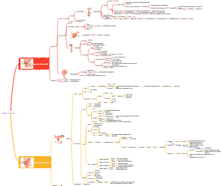sistema riproduttivo