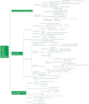 Il processo della storia dell'arte occidentale 1