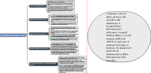 Come funzionano i neuroni cerebrali