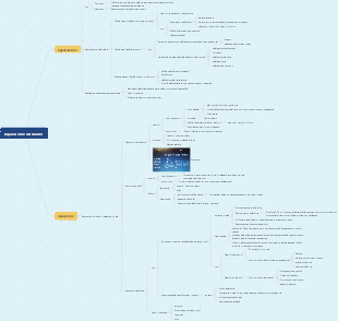 Patologia riparazione del danno