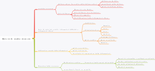 Abilità di studio olistico
