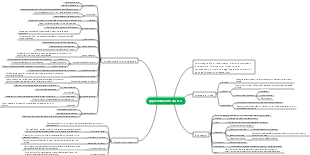 apprendimento olistico