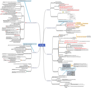 Mappa mentale della gestione dell'ambito