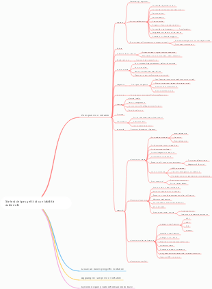 Sintesi dei progetti di contabilità aziendale