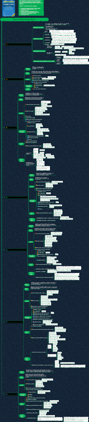 Sistema informativo del sistema di conoscenza del project manager (Capitolo 11 Project Risk Management)