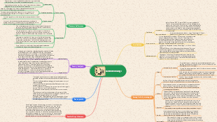 Mappa mentale Cammello Xiangzi.