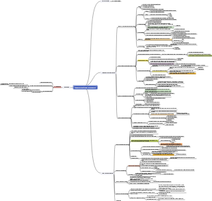Una breve storia dell'umanità, dagli animali a Dio