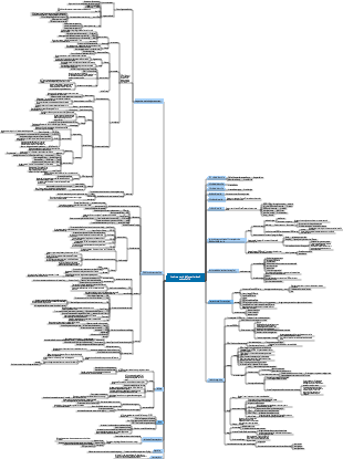 Una breve storia dell'umanità dagli animali a Dio