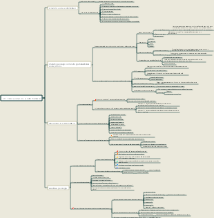 3.11 Educazione alla salute mentale