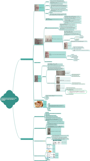 Panoramica sull'anatomia e la fisiologia dell'apparato riproduttivo femminile (2)